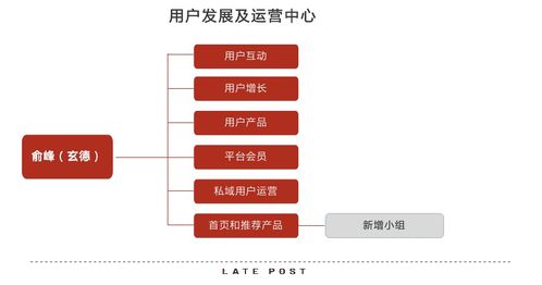 淘宝天猫融合 产品与运营策略的协同攻坚