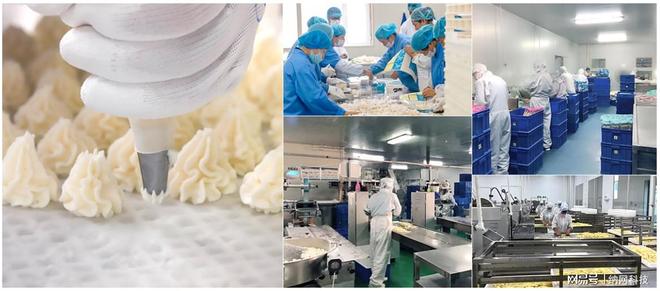 QHE购物中文域名 护航网络知识产权，打造电商权威入口的运营策略